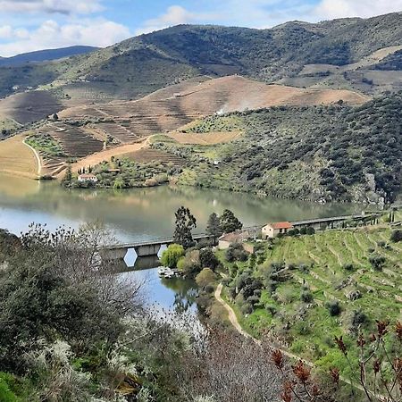 Гостевой дом Quinta Da Ferradosa Wines Сан-Жуан-да-Пешкейра Экстерьер фото