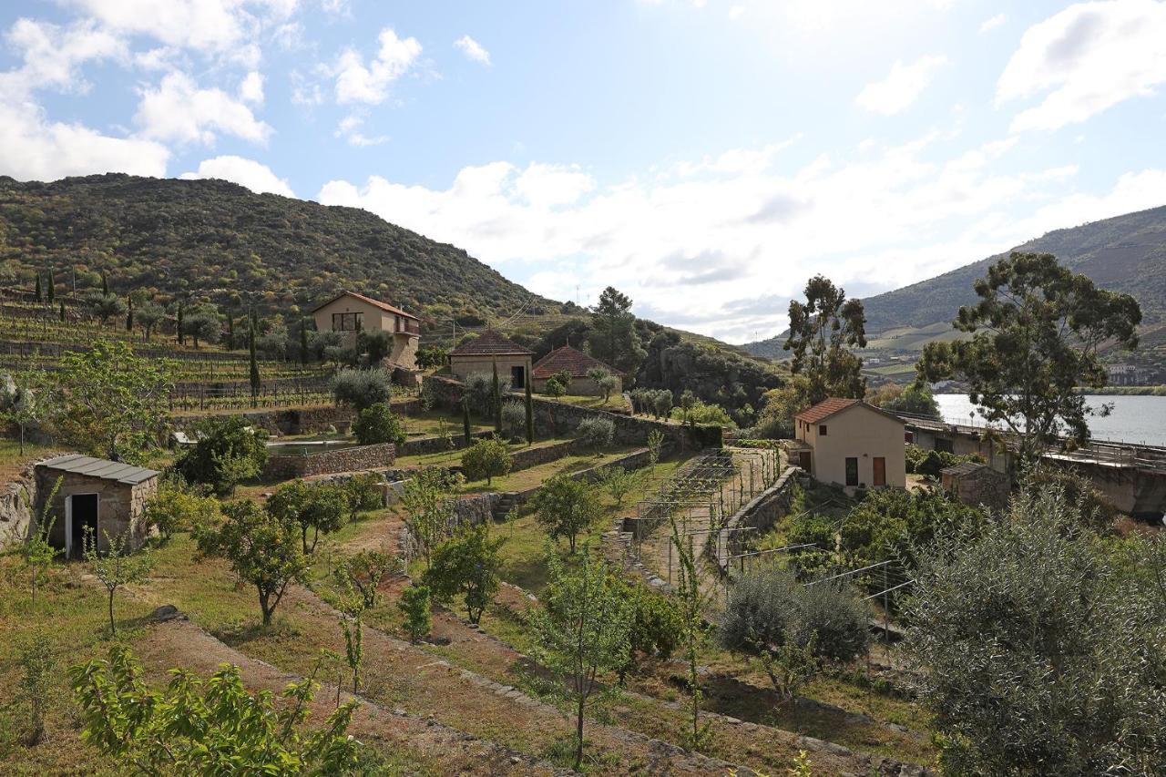 Гостевой дом Quinta Da Ferradosa Wines Сан-Жуан-да-Пешкейра Экстерьер фото