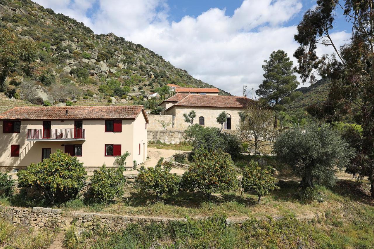 Гостевой дом Quinta Da Ferradosa Wines Сан-Жуан-да-Пешкейра Экстерьер фото